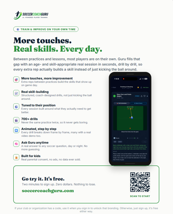 Preview of the printable team flyer